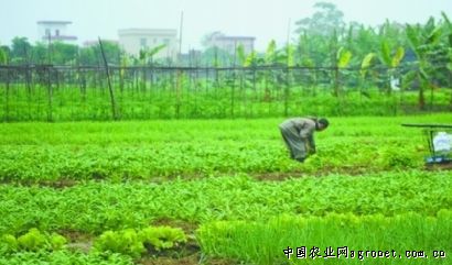 陕西中农化肥有限公司