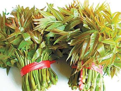 中华神剑韭菜种植方法