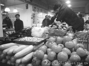 广西荔浦芋头种植技术