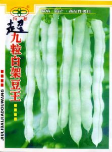 供应超九粒白架豆王—菜豆种子