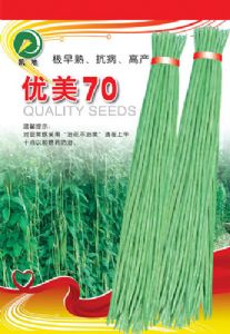 供应优美70（小）—豇豆种子