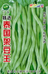 供应泰国架豆王—菜豆种子