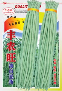 供应丰农旺油白豆角—豇豆种子