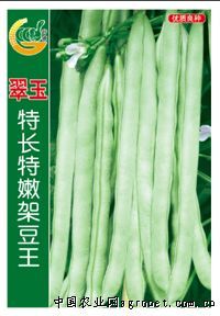 供应翠玉特长特嫩架豆王-豇豆种子