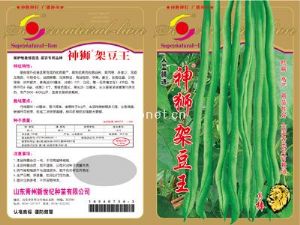 供应神狮架豆王—豇豆种子