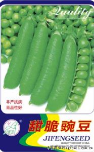 供应甜脆豌豆—豌豆种子