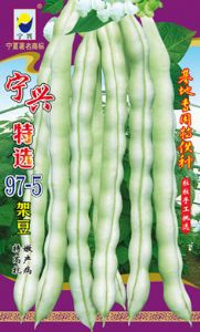 供应宁兴特选97-5架豆—架豆种子