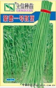 供应蒙德一号—豇豆种子