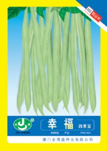 供应幸福四季豆—菜豆种子