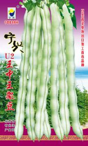 供应宁兴u2王中王架豆—架豆种子