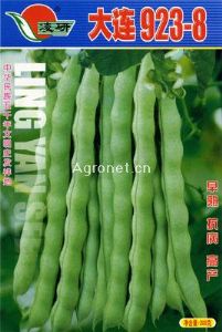 供应大连923-8——菜豆类种子