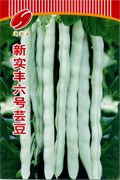 供应新实丰六号芸豆—菜豆种子