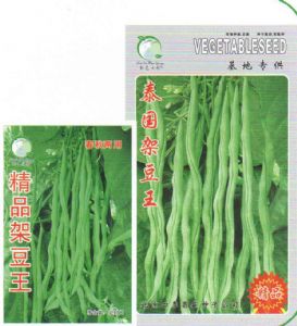 供应架豆王—无丝豆—菜豆种子