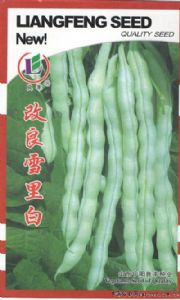 供应改良雪里白——菜豆种子