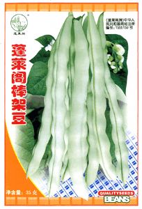 供应蓬莱阁棒架豆—菜豆种子