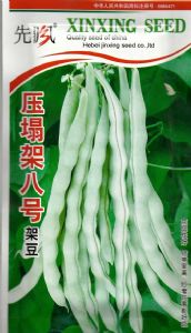 供应压塌架八号架豆－架豆种子