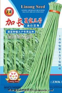 供应加长夏宝三号油白豆角（z3036）-豇豆种子