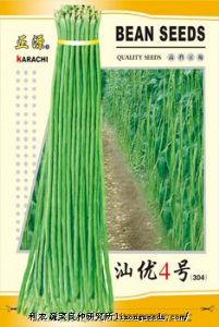 供应【正源】汕优4号厚肉长身豆角（304）—豇豆种子