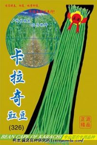 供应【正源】卡拉奇豇豆（326)—豇豆种子