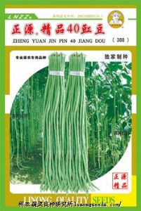 供应【正源】精品40号豇豆（388）—豇豆种子