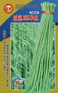 供应【正源】花冠102—豇豆种子