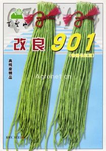 供应改良901（特选长豇豆）-豇豆种子