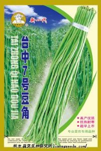 供应【金牌佬农】台中7号豆角（317）—豇豆种子