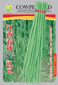 供应江西春秋28-2豇豆—豇豆种子