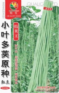 供应小叶多荚原种豇豆—豇豆种子