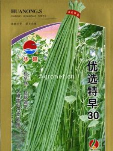 供应优选特早30—豇豆种子