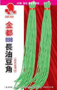 供应金都998—豇豆种子